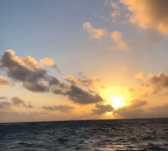 Mamaia-nord Iuliana * Năvodari